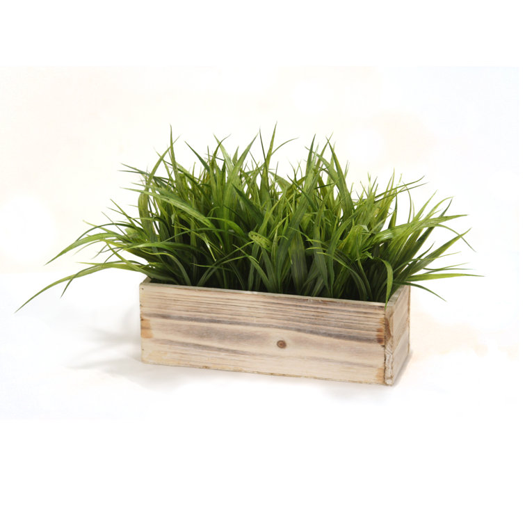 Primrue 11'' Faux Onion Grass Grass in Wood Planter Wayfair